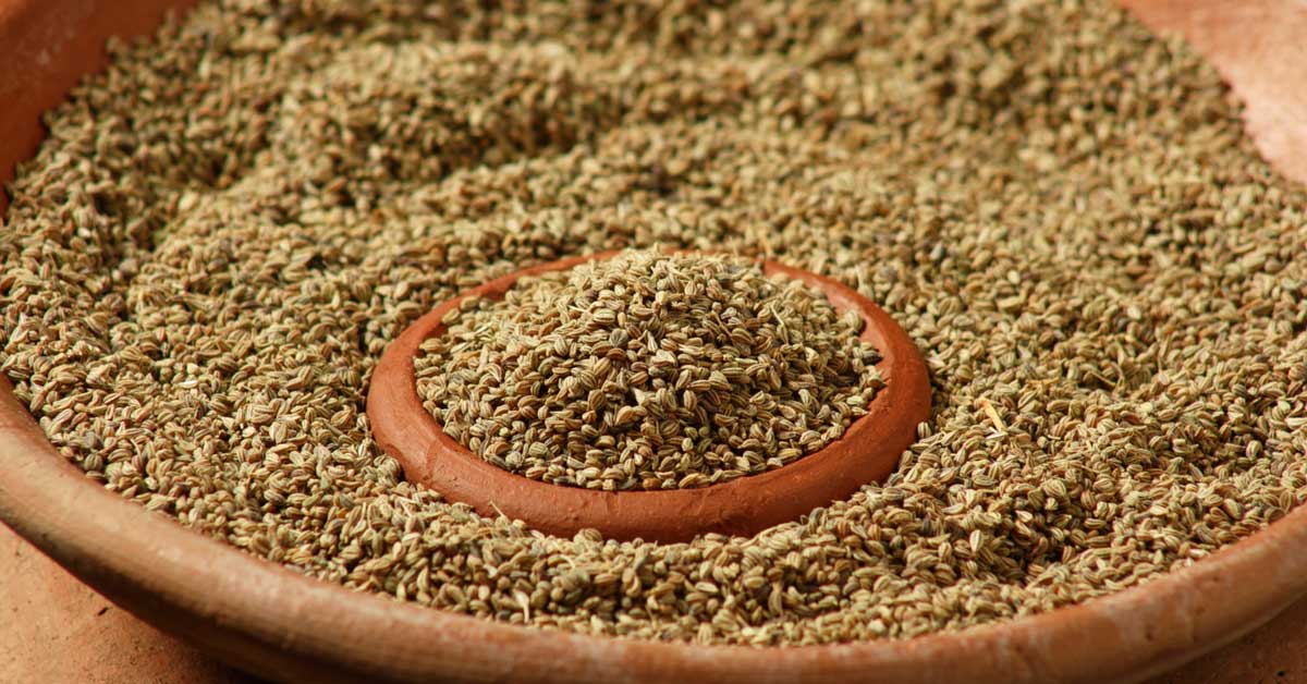 Ajwain Seeds Suppliers in Ahmedabad, Gujarat, India